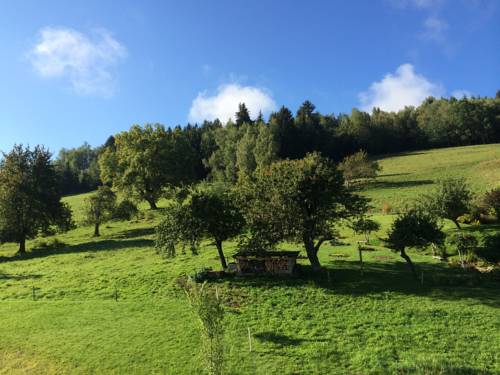 Combloux Francia codigo promo hotel booking.com