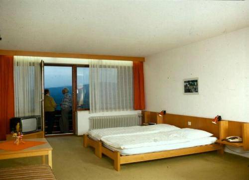 Haidmühle Alemania codigo promo hotel booking.com