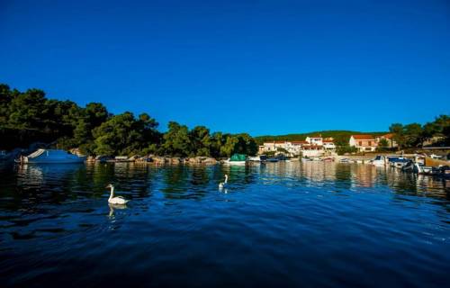 Tribunj Croacia codigo promo hotel booking.com