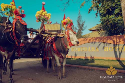 Bagan Myanmar codigo promo hotel booking.com
