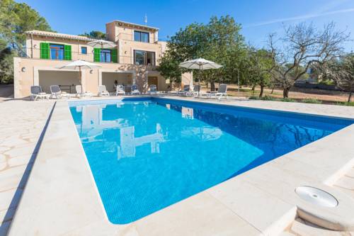 Campos España codigo promo hotel booking.com