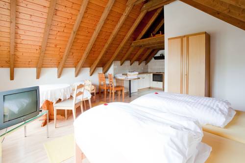 Abrazar Suiza codigo promo hotel booking.com