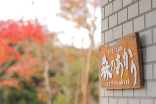 Hakone Japón codigo promo hotel booking.com